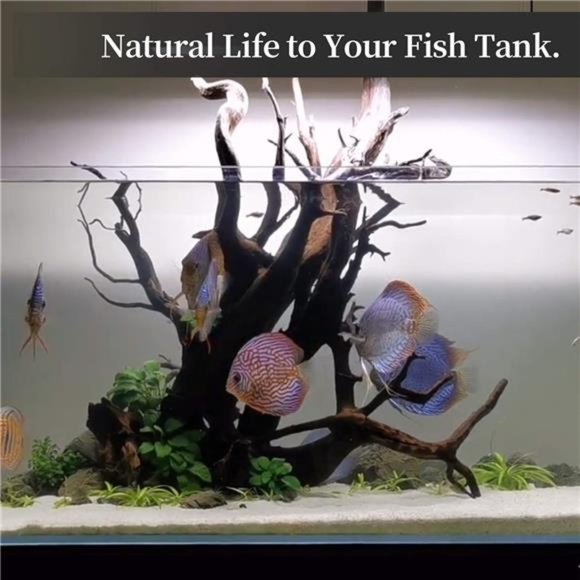 Natural Coral Driftwood for Aquarium Decor FishTank Decorations,Driftwood Branch - Picture 5 of 7